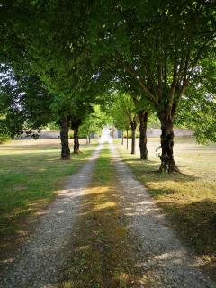 La Burie - Saint-Savinien - 5