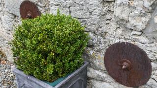 Ty Coed - Moelfre - 2