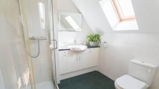Cwt Drecs - Llanfachraeth - 2