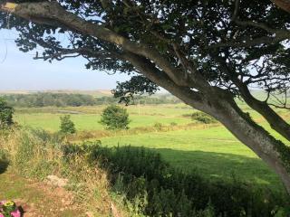 Hebog - Llanrhwydrys - 5