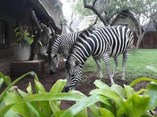 Mispel House self catering holiday accommodation - 1