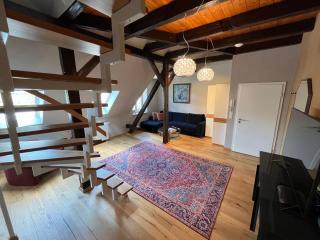 Apartmenthaus am Dom Comfort Suite mit Parkplatz - Zwickau - 8