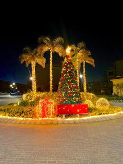 Ultra Luxury 3BR with Pools ,Sports ,Dining in Gated compound, Close to all sites - 7