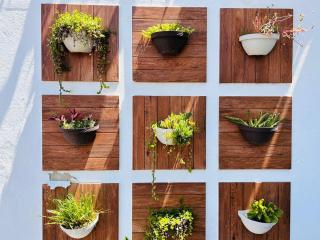 Meson del capitan 8 depa en el centro! - 1