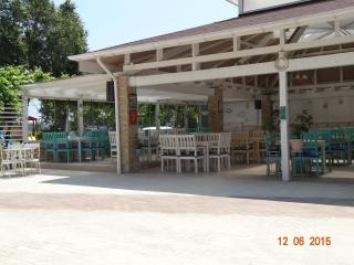 Pensiunea Casa Harghita - Constanza - 2