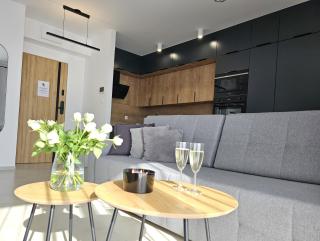 URBAN APARTMENTS PREMIUM, Opolska 10 No 77A, Free Garage, Self Check-in - Katowice - 6