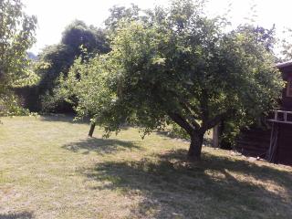 A fine 2 bedroom stone house in Emila - Piacenza - 6