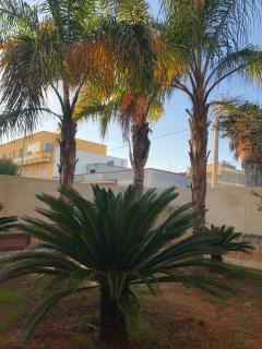 Finalmente in vacanza - 7