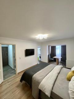 Boby s Studio with Free Parking - Turda - 4