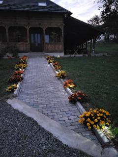 casa de lemn - 2