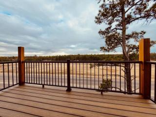 Penthouse Suite at Meadow View! - Show Low - 5
