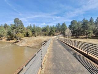 Penthouse Suite at Meadow View! - 4