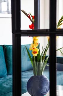 Luxurious, Spacious, Modern Gem. Great Location ! - 7