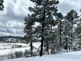 Luxurious Mountain Retreat! - Show Low - 2