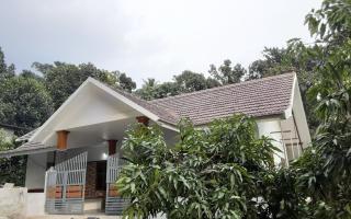 Green and Green - Vagamon - 8