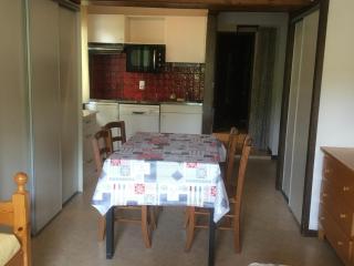 Appartement chaleureux, 1 chambre, centre Les Gets, proche pistes et commodités, balcon ensoleillé - FR-1-671-82 - Les Gets - 0