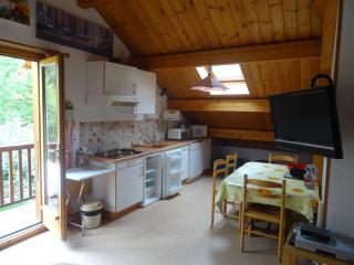 Charmant 2 Pièces + Coin Montagne - Parking Privé, WiFi, Proche Pistes - FR-1-762-31 - Saint-Chaffrey - 9
