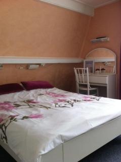 Hotel Brinkzicht - De Koog - 6