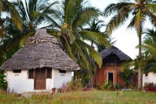 Kilwa Beach Lodge - Kilwa Masoko - 7