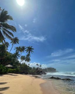 Satin Doll - Unawatuna - 4