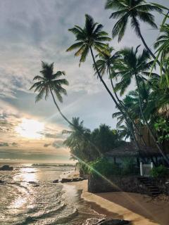 Satin Doll - Unawatuna - 1