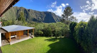 Le cottage - La Plaine des Palmistes - 0