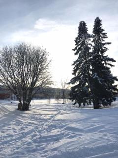 Apartment Suutarintie - Authentic Lappish experience by the River - Rovaniemi - 6