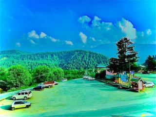 Pine view - Gulmarg - 8