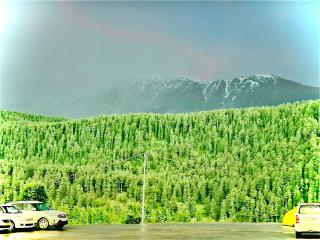 Pine view - Gulmarg - 3