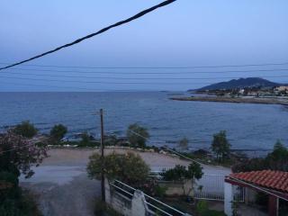 Comfortable home by the sea, near Athens Airport - Artemida - 7