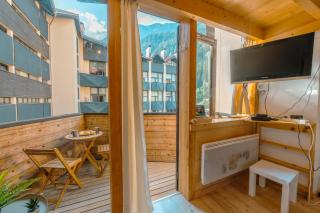 Résidence Grand Roc - Campanules 322 - Happy Rentals - 8