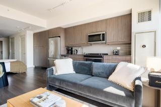 West Loop Studio w wd gym lounge nr L CHI-778 - 6