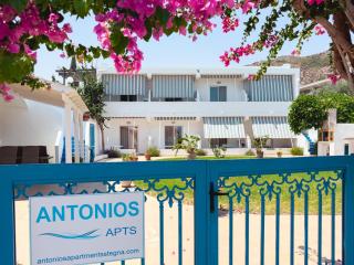 Antonios Apartments Stegna - Archangelos - 2
