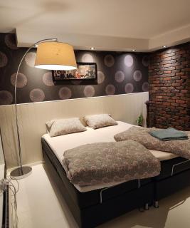 Full Privacy Townhome in Oslo with WIFI - Oslo - 7