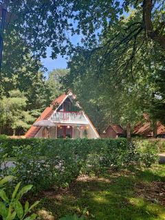 Boshuisje Casa Ciconia - 4