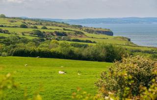 Pentir - Penmon - 6