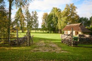 Wonderful cozy cottage with a view of Sheep - - 9