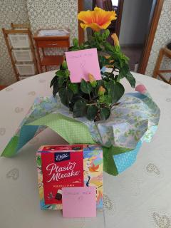 B&B La Finestra Sul Mare - Ripatransone - 1