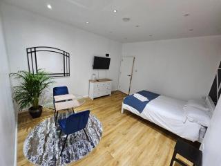 cosy 1-Bed Apartment in London Alexandra Palace - Londra - 7