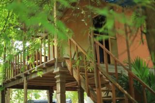 Sigiriya Free View Tree House & Villa - 0