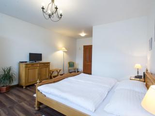 Hotel Šumava - Vyšší Brod - 9