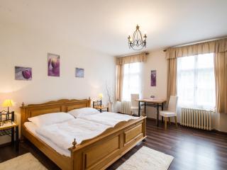 Hotel Šumava - Vyšší Brod - 0