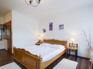 Hotel Šumava - Vyšší Brod - 5