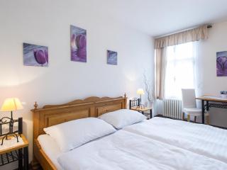 Hotel Šumava - Vyšší Brod - 3