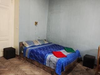 Eka's apartment on Marjanishvili - Tbilisi - 0