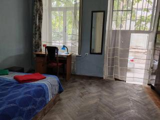 Eka's apartment on Marjanishvili - Tbilisi - 3