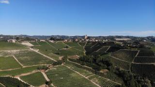 Cascina Parafada - Serralunga d'Alba - 9