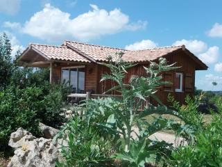 Domaine des Cadets de Gascogne - Pauilhac - 3