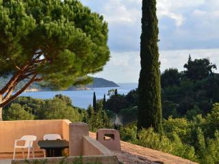 Appartement avec Piscine et Terrasse à 300m de la Plage - FR-1-226B-47 - La Croix-Valmer - 9