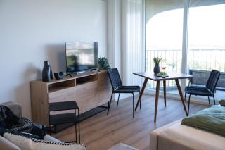 Helles Apartment mit tollem Blick über Augsburg - Augsburg - 4